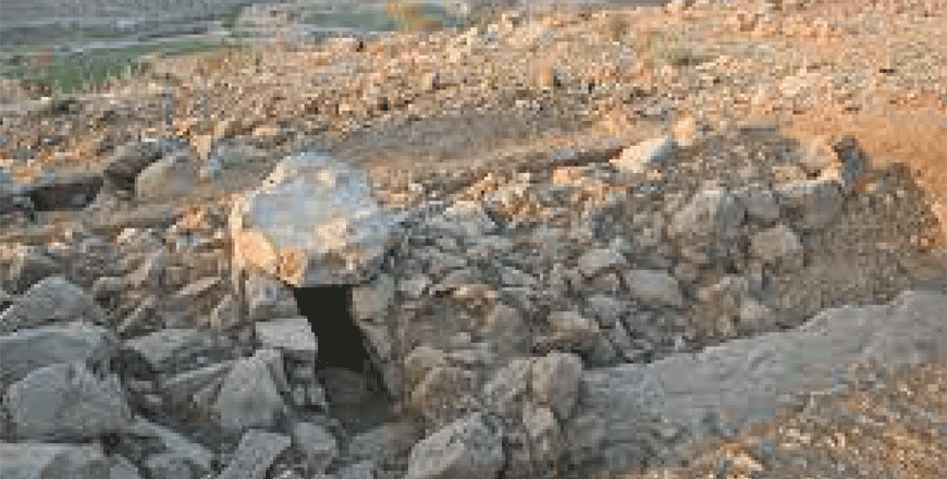 Archaeologist explores sedintarisation in southern Levant