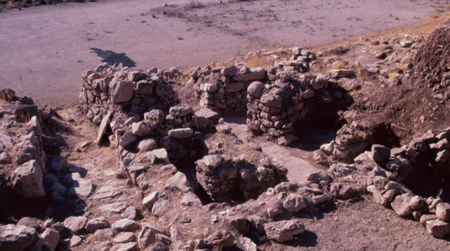 ‘Ain Ghazal’s bone remains offer clues to animal husbandry in ancient times