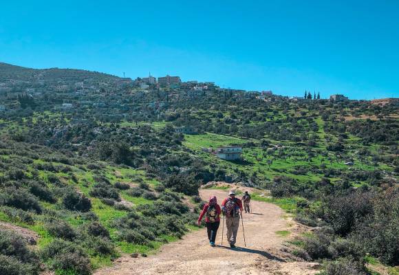 Exploring Northern Jordan: History, Nature, and Hidden Gems in Jerash and Ajloun