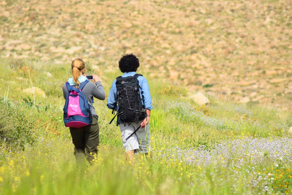 Jordan Tourism: Numbers & Statistics