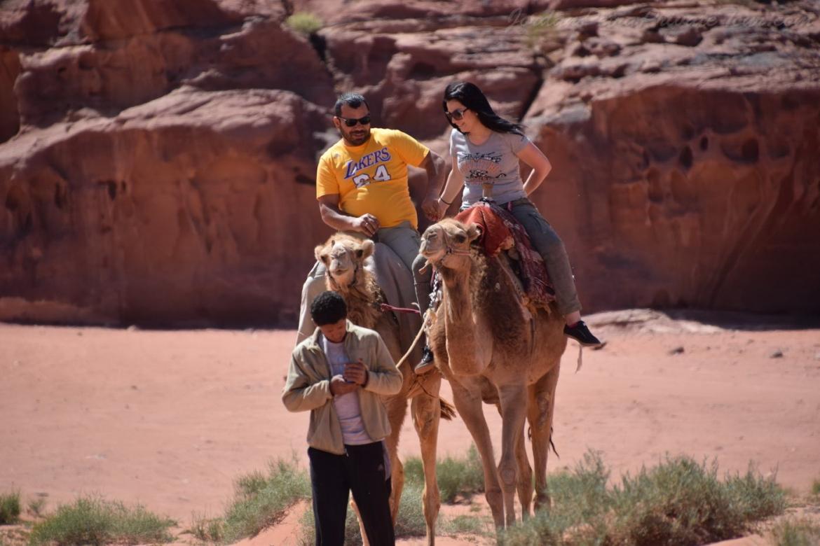 Full day Camel ride  with Overnight