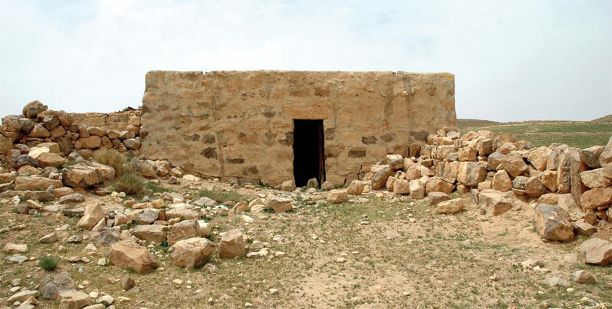 Swiss archaeologist examines settlement continuity in Petra